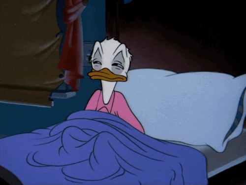 Back To Bed GIFs - Get the best GIF on GIPHY
