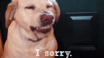 Sorry Ysauzi Tinyslayer Madda Perpheads Forums