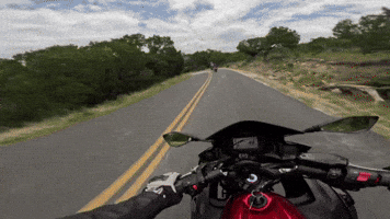 Motorcycle Crash GIF