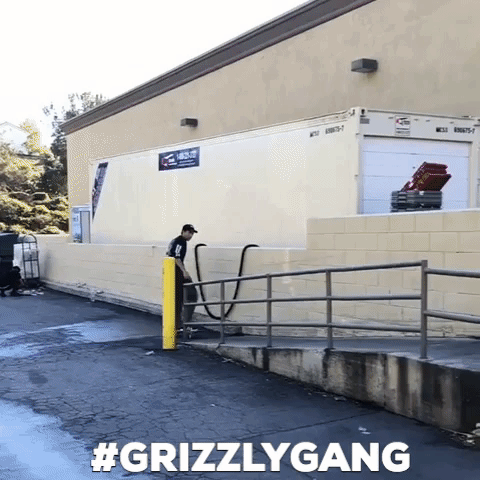 skateboarding grizzlygang GIF by Torey Pudwill