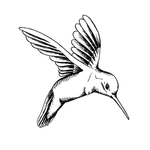Bird Colibri Sticker by Fine Weddings & Parties