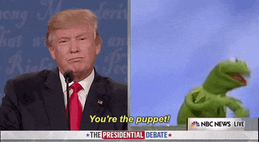 donald trump kermit GIF by Election 2016