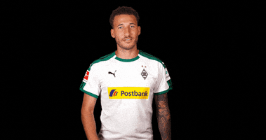 bundesliga diefohlen GIF by Borussia Mönchengladbach