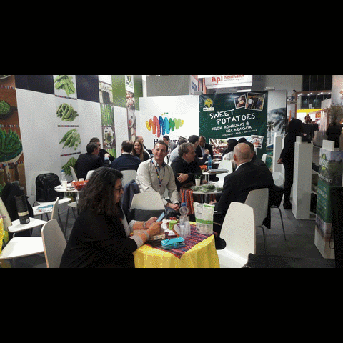 DataExport fruit logistica agritrade GIF