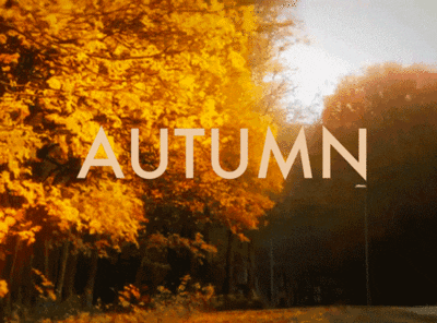 I'm really missing Autumn 🍂