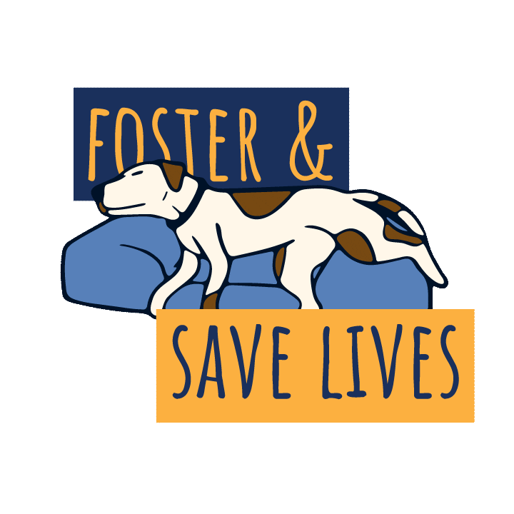 Foster Mpr Sticker by Muddy Paws Rescue NYC