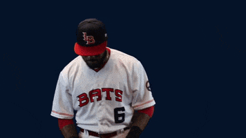 phillip ervin bats baseball GIF by Louisville Bats