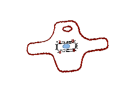 Animated Sticker