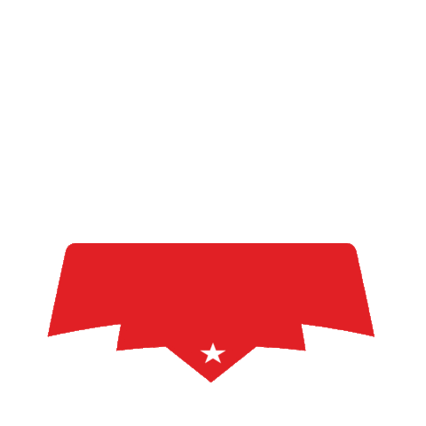 Psg Volt Sticker by AjeGroup