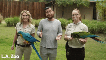 lance bass dancing GIF by Los Angeles Zoo and Botanical Gardens