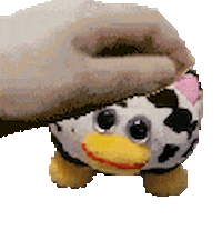 Animated Sticker