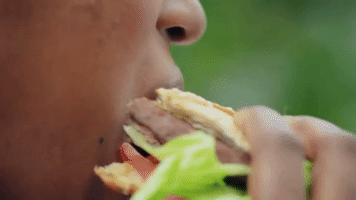 Ultra Music Burger GIF by Ultra Records