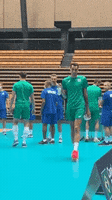 Look At Me Sport GIF by Volleyball World
