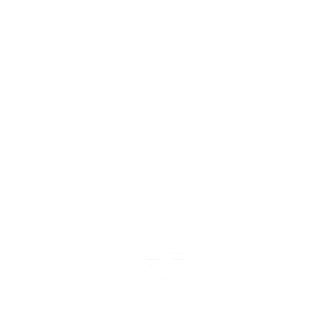 Salamina Sticker by Fitness Factory