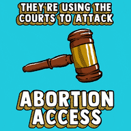 They're using the courts to attack abortion access, racial equality, LGBTQ+ people, and low-income communities