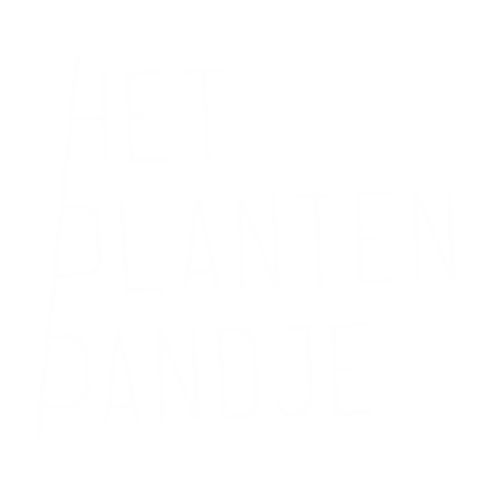 Logo Sticker