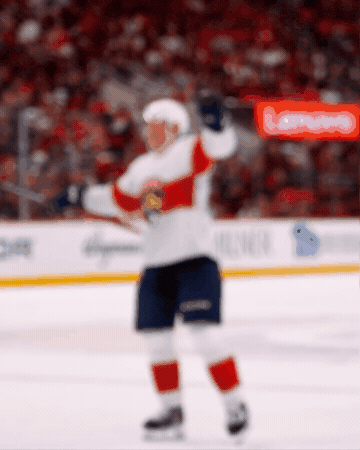 Gustav Forsling Win GIF by Florida Panthers