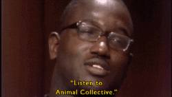 animal collective
