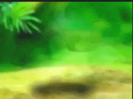 Dance Dancing GIF by karaditales