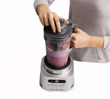 Blender Smoothie GIF by NinjaKitchen