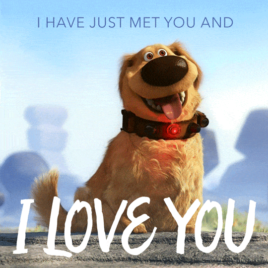 dog love GIF by Disney Pixar