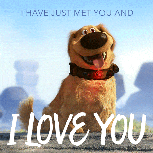 Dog Love GIF by Disney Pixar Find & Share on GIPHY