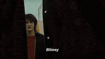 chloemiller  GIF
