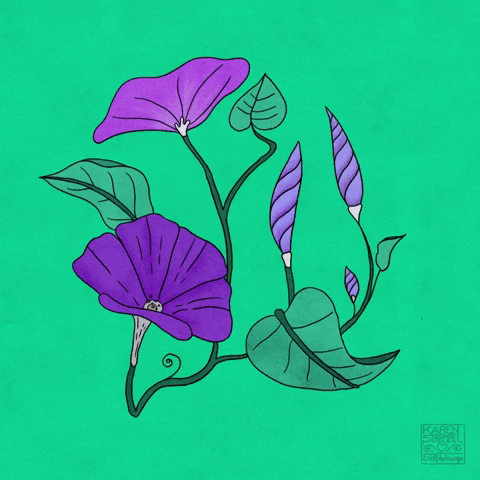 Animation GIF