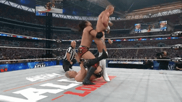All In Wrestling GIF