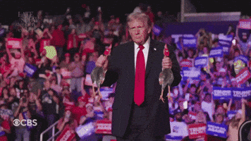 Trump GIF