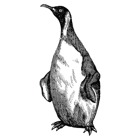 Beestig Jeugdwerk Gent Sticker