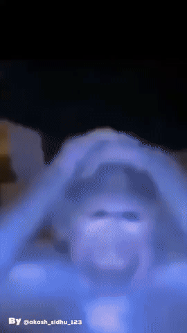 Monkey Trend GIF