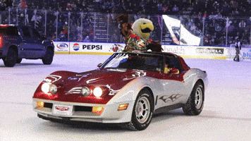 Hockey Mascot GIF by Colorado Eagles