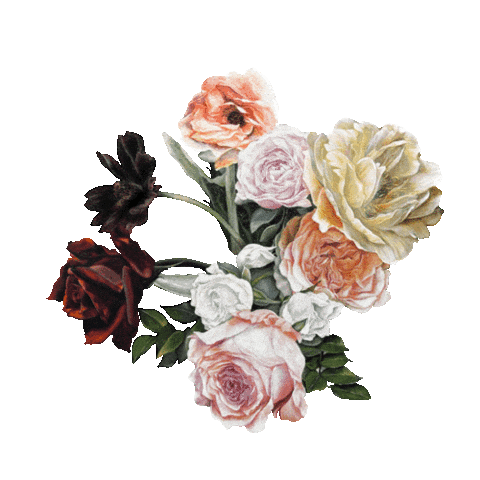 Flower Rose Sticker