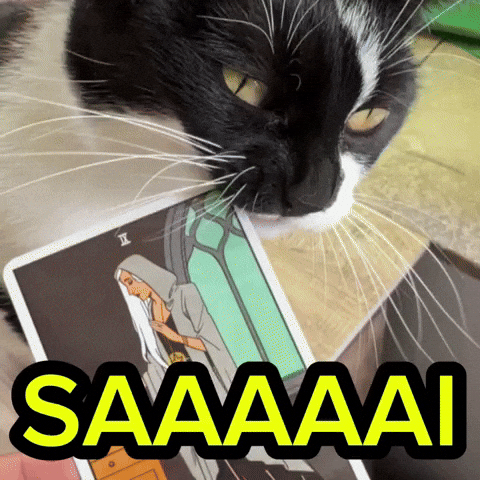 Gatos Tarot GIF