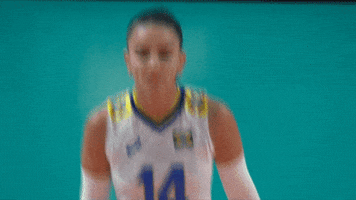 Vamos Nessa Ready To Go GIF by Volleyball World