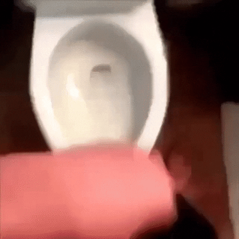 giphy.gif