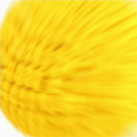 Face Cornball GIF
