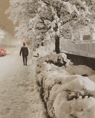Snow vanish disappear GIF - Find on GIFER