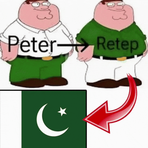 Family Guy Pakistan GIF
