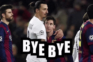 Bye Bue Futbol GIF