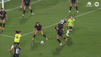 Hayley Raso Goal GIF by Football Australia