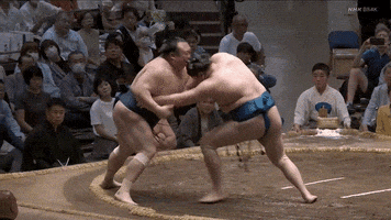 Sumo GIF