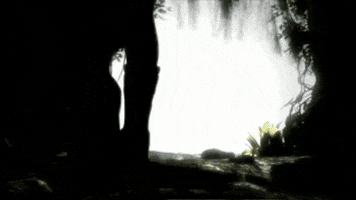 GIF by Tomb Raider