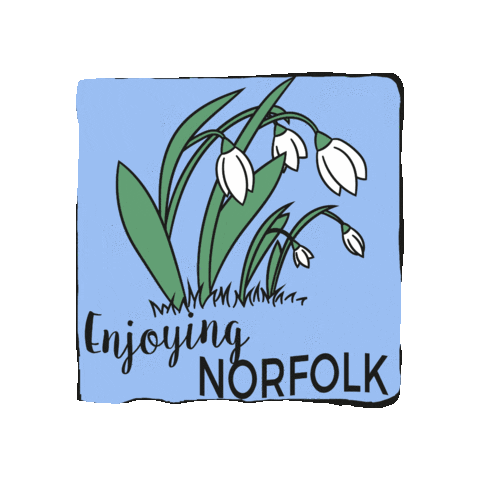 Spring Snowdrops Sticker by Enjoying Norfolk