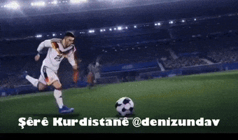 Germany Bundesliga GIF