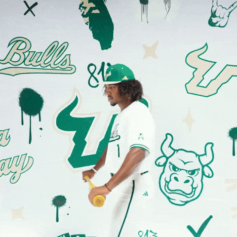 South Florida Baseball GIF by USF Athletics
