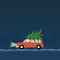 200.gif?cid=fc005b081a1b72ce65f38cae86b2404a1884dbede222ed09&rid=200.gif&ct=g