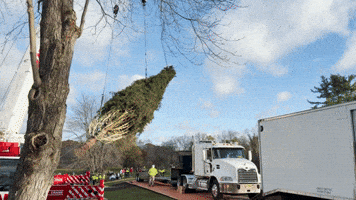 GIF by Siena College