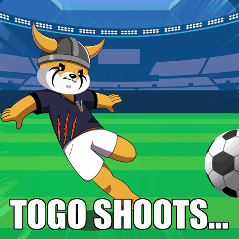 World Cup Football GIF by FLOKI